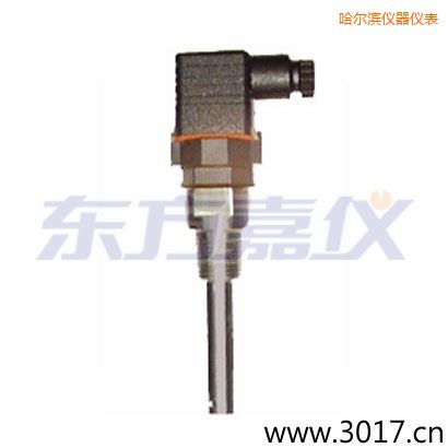 哈爾濱含有溫度的兩線電導(dǎo)率電極