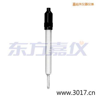 嘉峪關(guān)玻璃外殼無溫補(bǔ)兩線電導(dǎo)率電極