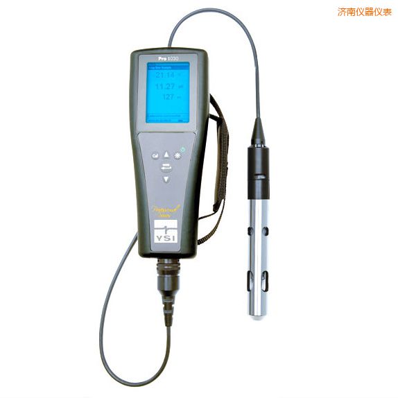 濟(jì)南便攜式離子/電導(dǎo)率/溫度測(cè)試儀