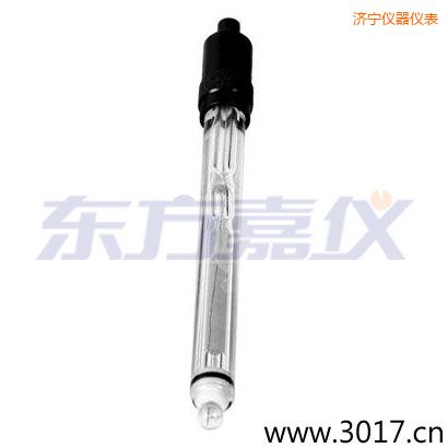 濟(jì)寧玻璃外殼鉑金環(huán)ORP電極