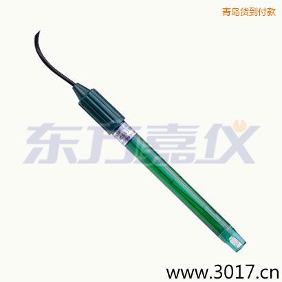 青島PC外殼無(wú)溫補(bǔ)復(fù)合電極