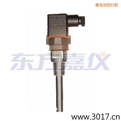 青島含有溫度的兩線電導(dǎo)率電極