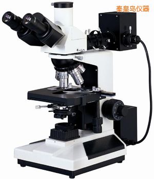 �ػʍu͸���䣨�pɫ�����ý����@΢�R