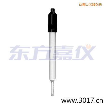 石嘴山玻璃外殼無溫補兩線電導率電極