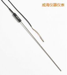 威海高性能金屬桿標(biāo)準(zhǔn)鉑電阻溫度計(jì)