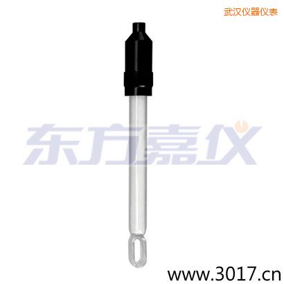 武漢玻璃外殼無溫補(bǔ)兩線電導(dǎo)率電極