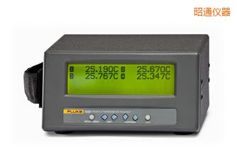 昭通四通道便攜式測溫儀